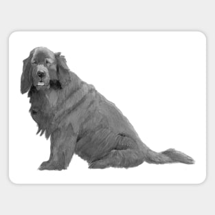 Newfoundland Magnet